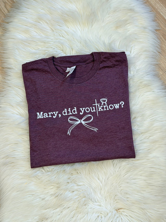 Mary, Did You Know? T-Shirt